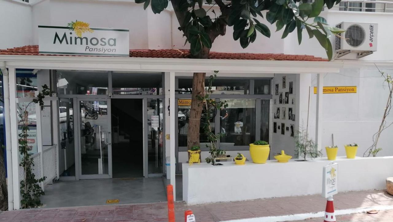 Mimosa Pension Kas Exterior foto